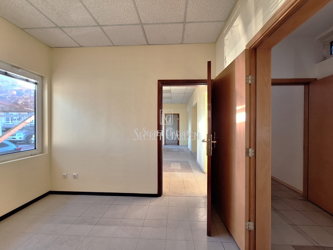 Петко Каравелов, София, 5 Rooms Rooms,Oфис,Под наем,Петко Каравелов ,1081