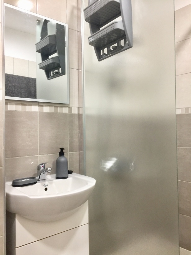 ул. Поручик Коста Милев, София, 2 Bedrooms Bedrooms, 0 ,1 BathroomBathrooms,Апартамент,Под наем,ул. Поручик Коста Милев,1,1035