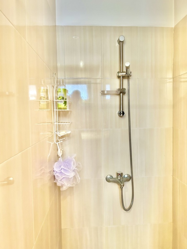 ул. Българска легия, София, 1 Bedroom Bedrooms, 0 ,1 BathroomBathrooms,Апартамент,Продадено,ул. Българска легия,1,1039